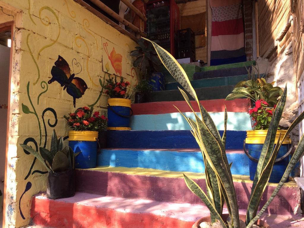 Hostal Casa Horizonte تاجانجا المظهر الخارجي الصورة
