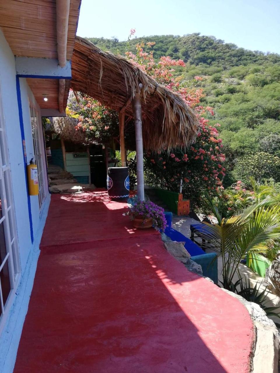 Hostal Casa Horizonte تاجانجا المظهر الخارجي الصورة
